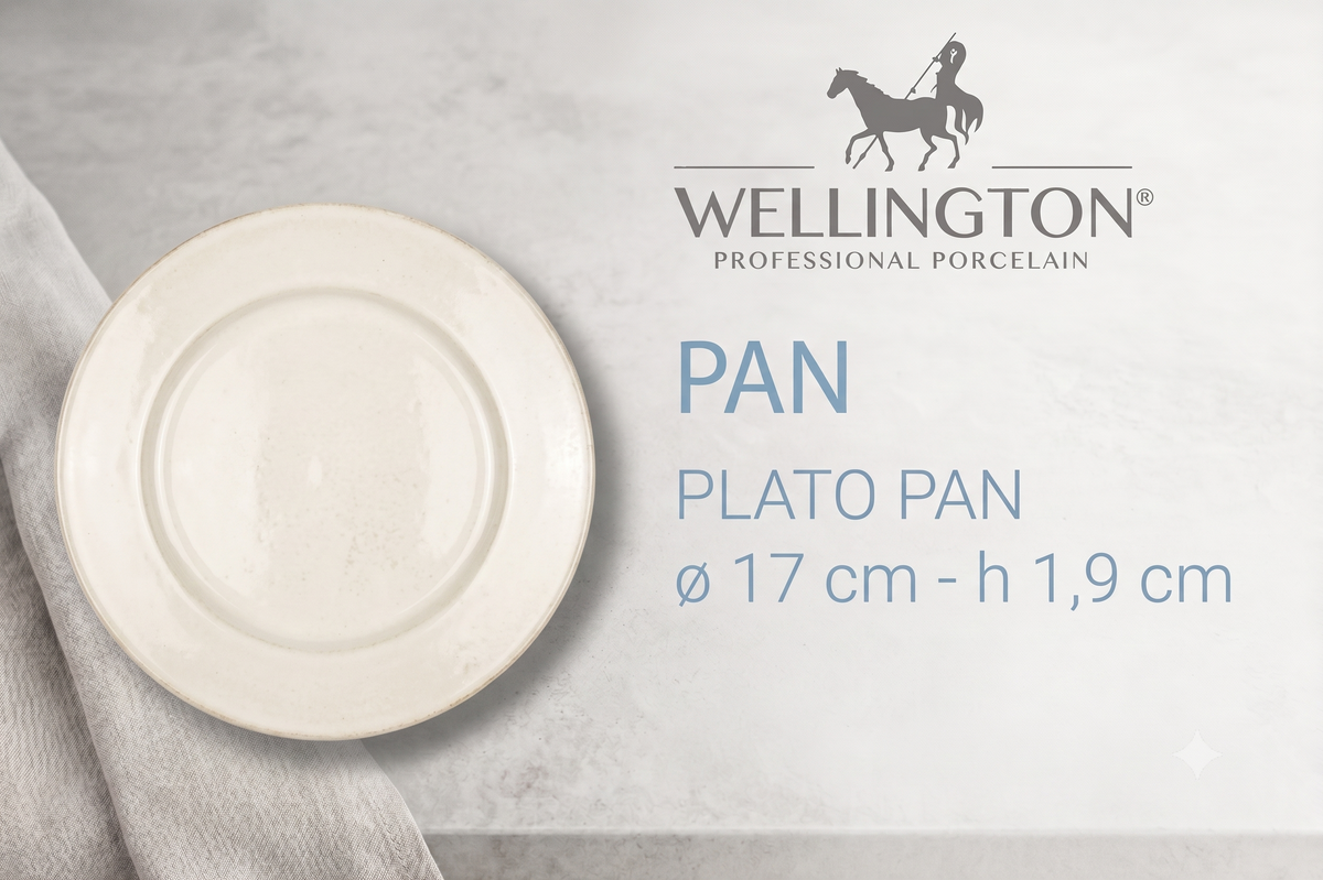 Wellington 9350 Plato Pan 17 Cm (6 unidades)
