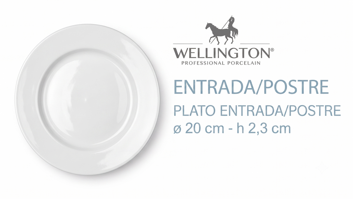Wellington 9351 Plato Entrada/Postre 20 Cm (6 unidades)