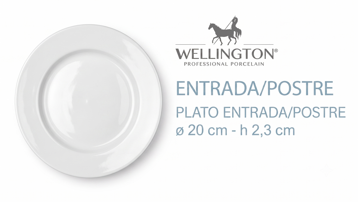 Wellington 9351 Plato Entrada/Postre 20 Cm (6 unidades)
